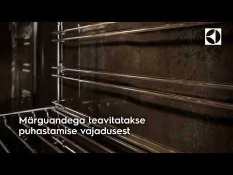 Isepuhastuv pürolüütiline ahi