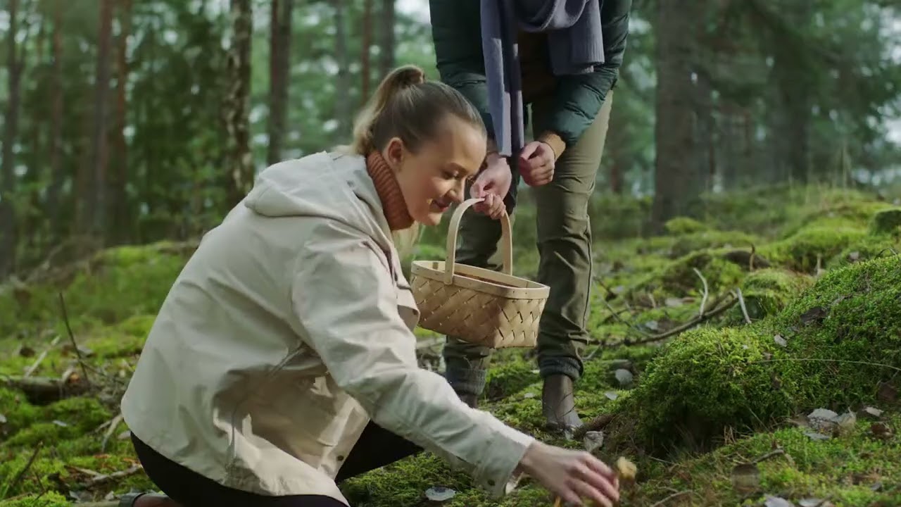 Quickselect süsteem WiFi ühenduvusega