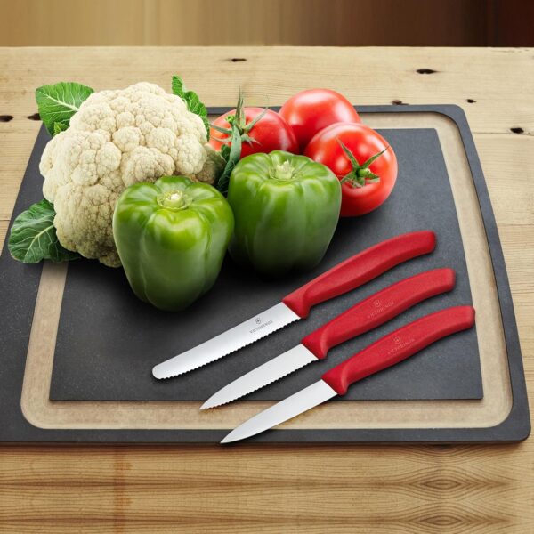 Koorimisnugade komplekt Victorinox Swiss Classic 6.7111.3