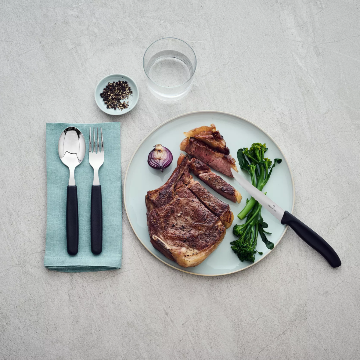 Steiginuga 11cm Victorinox Swiss Classic 6.7233.20