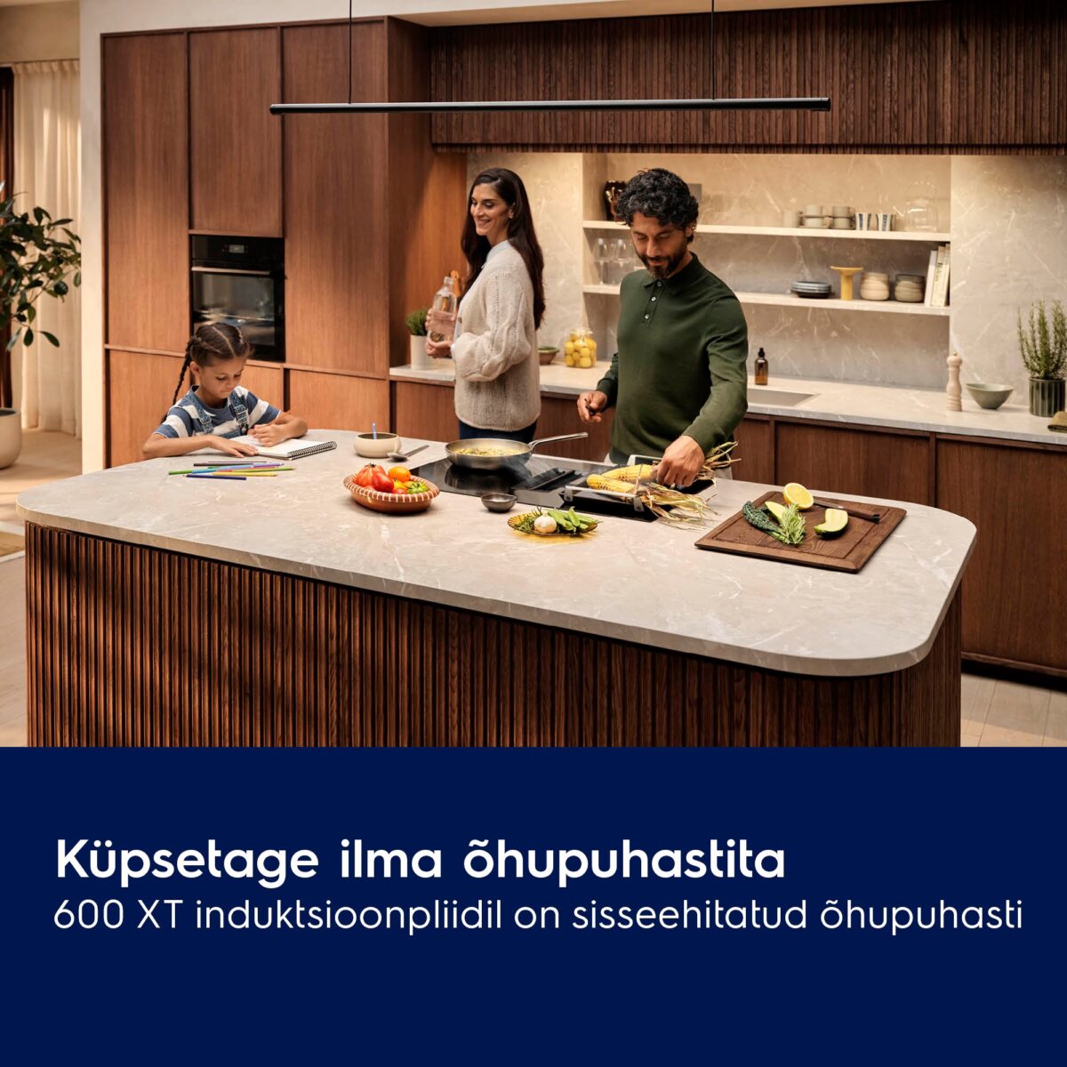 pliidiplaat koos õhupuhastiga