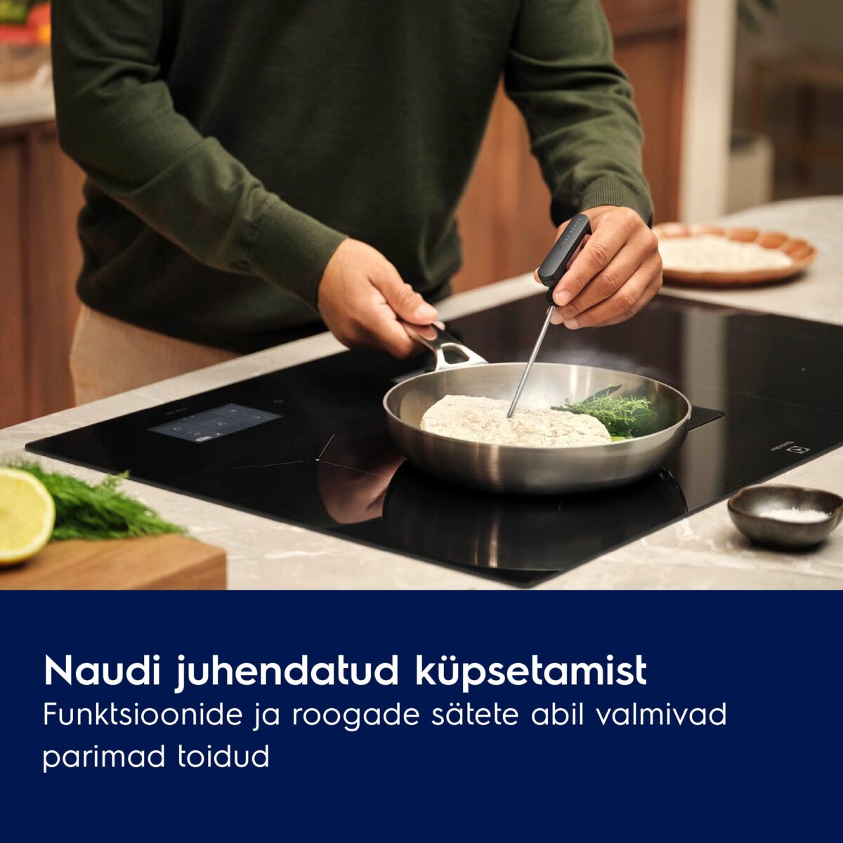 Electrolux ECC8549 pliidiplaat koos õhupuhastiga
