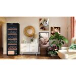 Avintage DIVA265 veinikülmik - Image 6