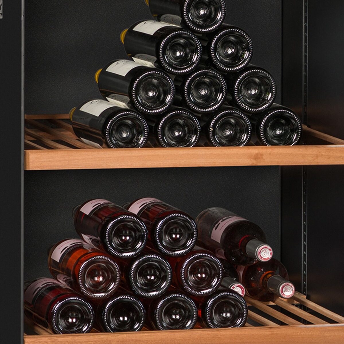 Avintage DIVA300 veinikülmik - Image 4