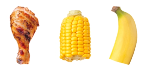 evolution insinkerator