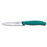 Koorimisnuga 10cm Victorinox Swiss Classic 6.7704.C1 egmer grupp
